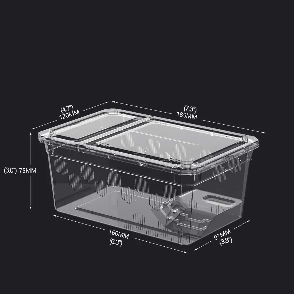 Reptile Breeding Box
