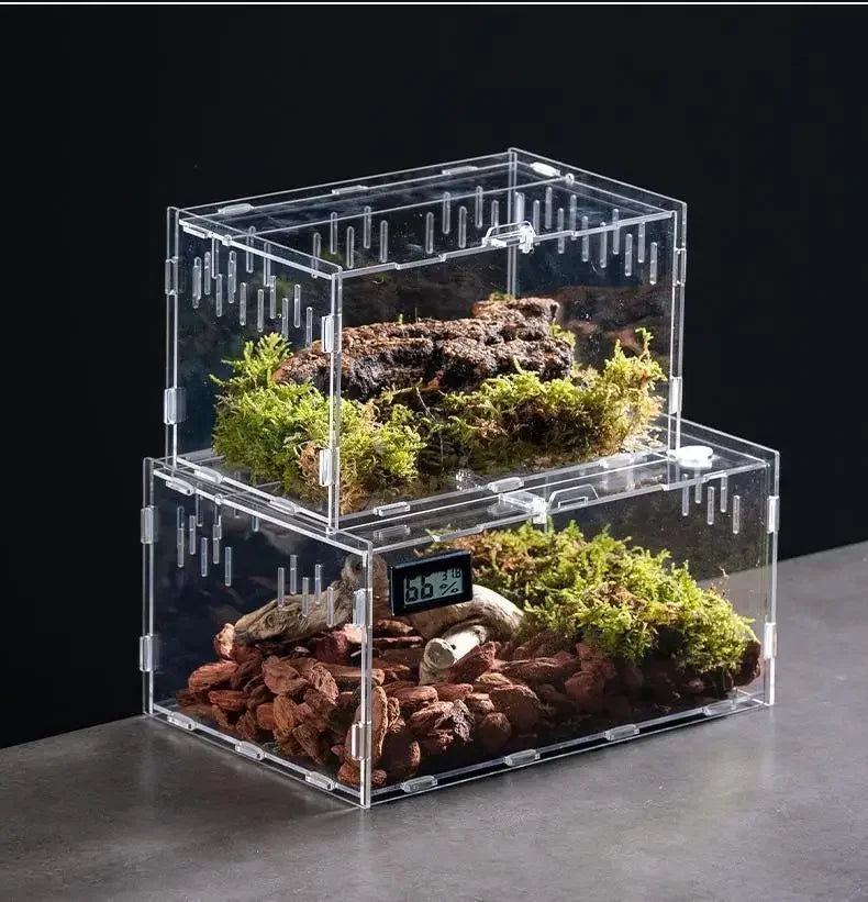 Acrylic Habitat