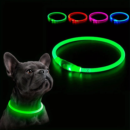LED Collar
