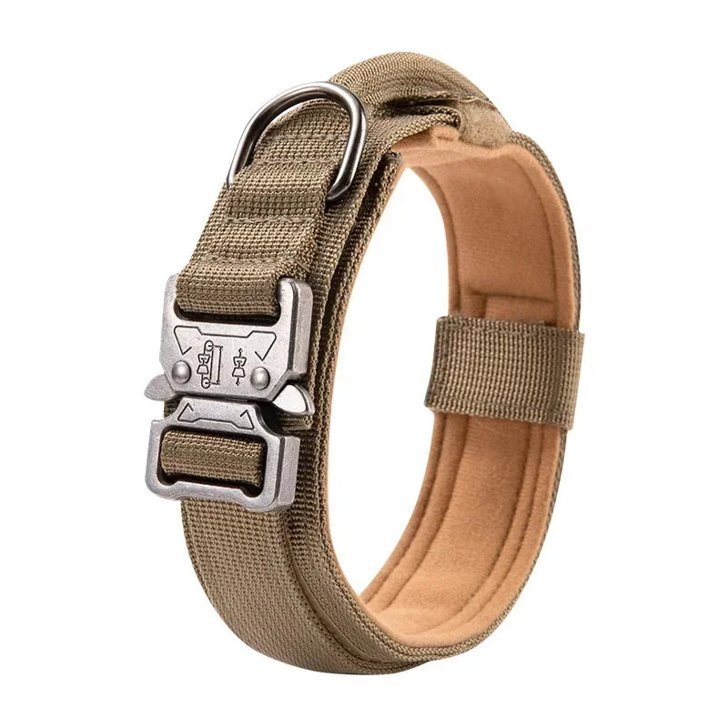 Sporty Tactical Collar