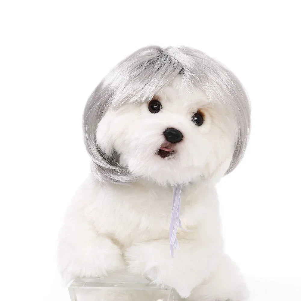 DIY Pet Wig