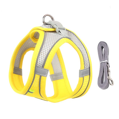 Adjustable Harness Set – Leash Included