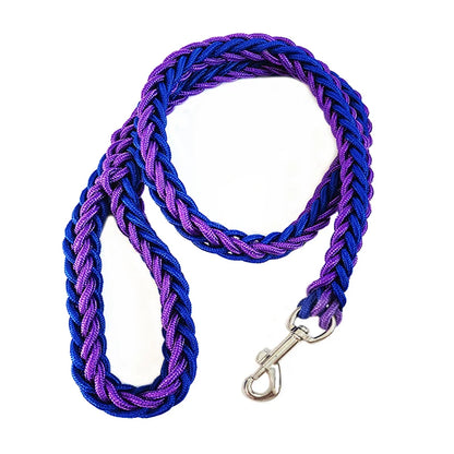 Nylon Leash