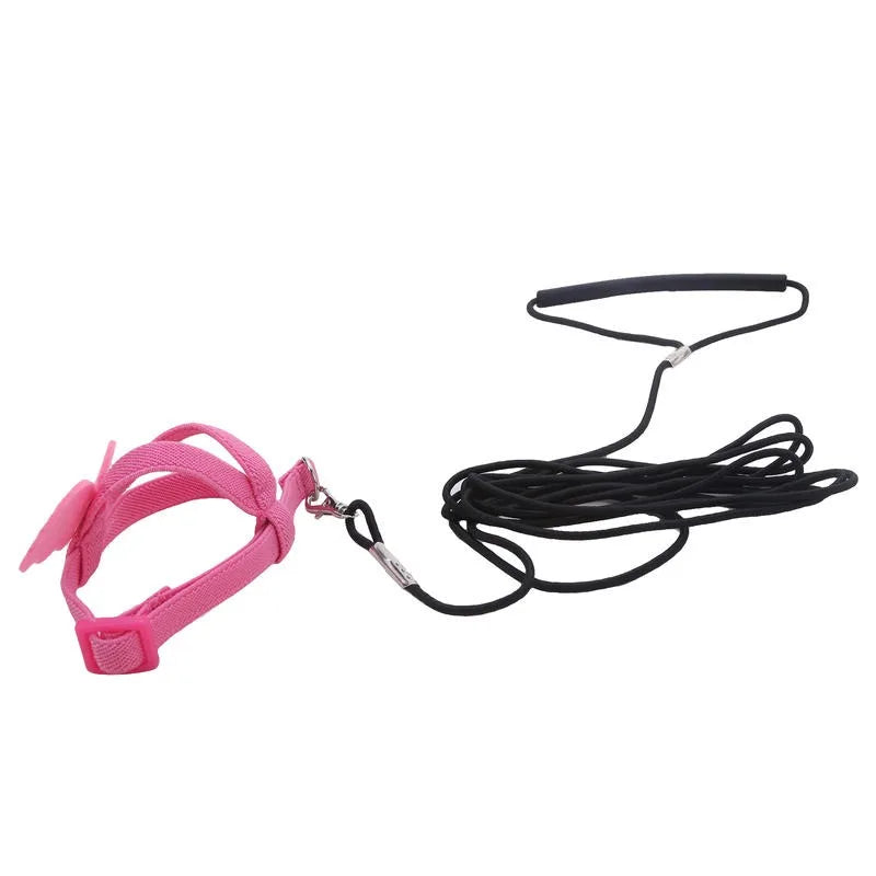 Parrot Harness Leash