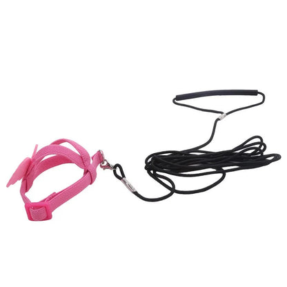 Parrot Harness Leash