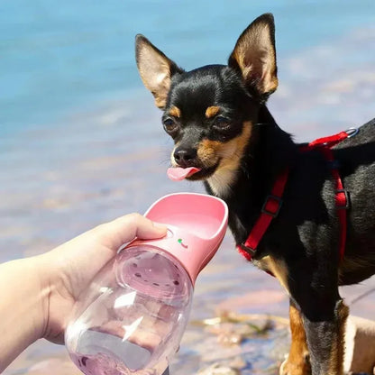 Portable Pet Water Bottle 2