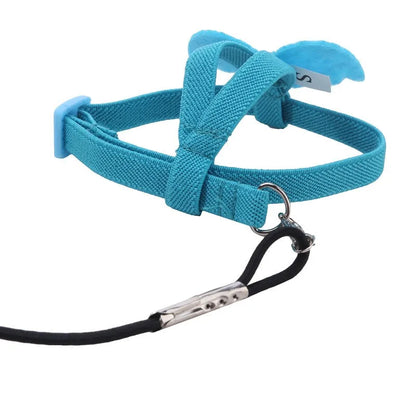 Parrot Harness Leash