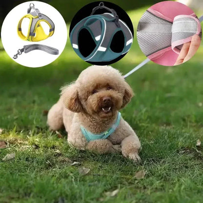 Adjustable Puppy & Small Dog Harness Set