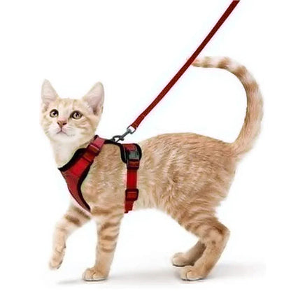 Cat Harness and Leash 3