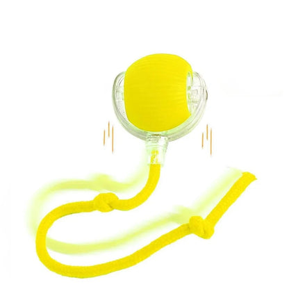 Interactive Ball Toy 2