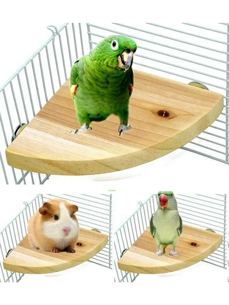 Bird Wooden Perch Stand