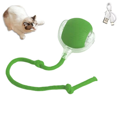 Interactive Ball Toy 1