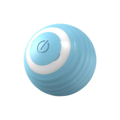 Interactive Ball Toy 4