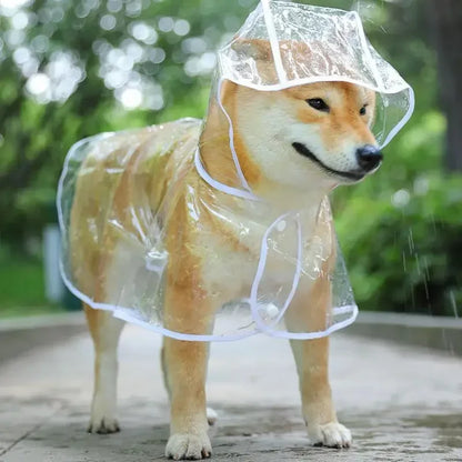 Small Dog Raincoat