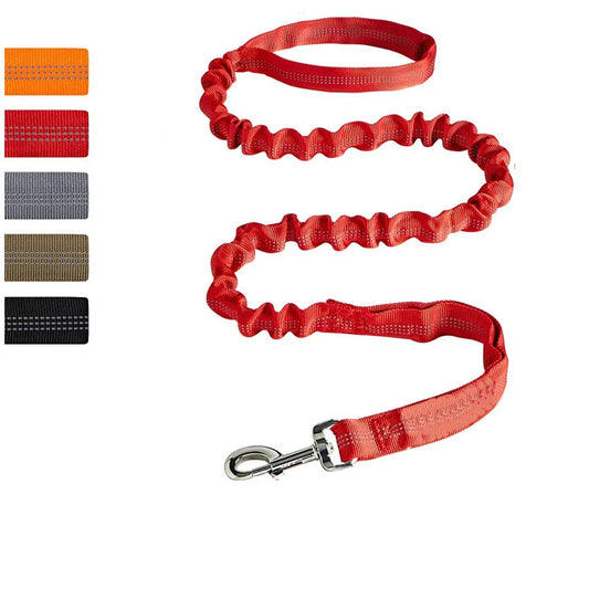 Bungee Leash