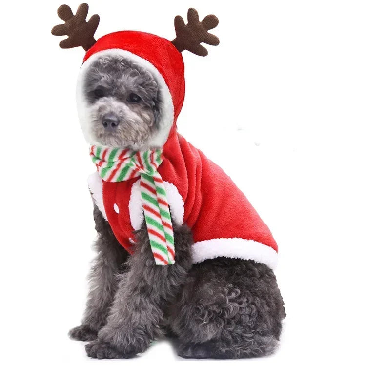 Dog Christmas Vest