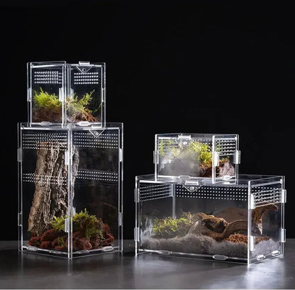 Reptile Acrylic Terrarium