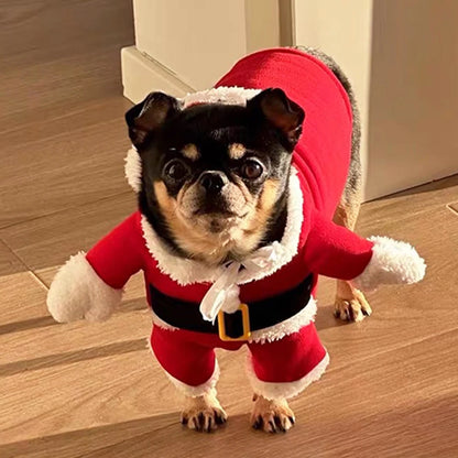 Dog Santa Costume
