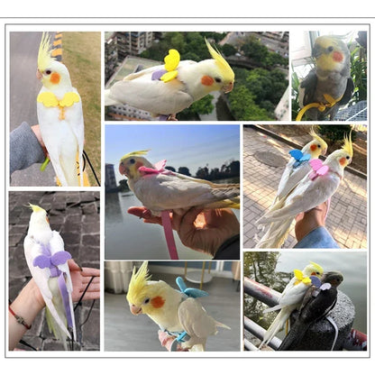Bird Flying Harness