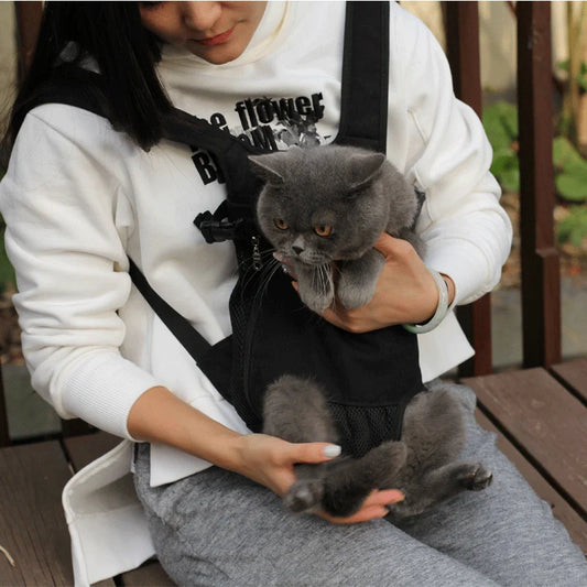 Cat Backpack 1