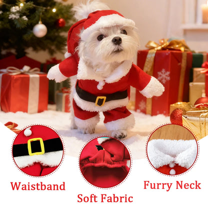 Dog Santa Costume