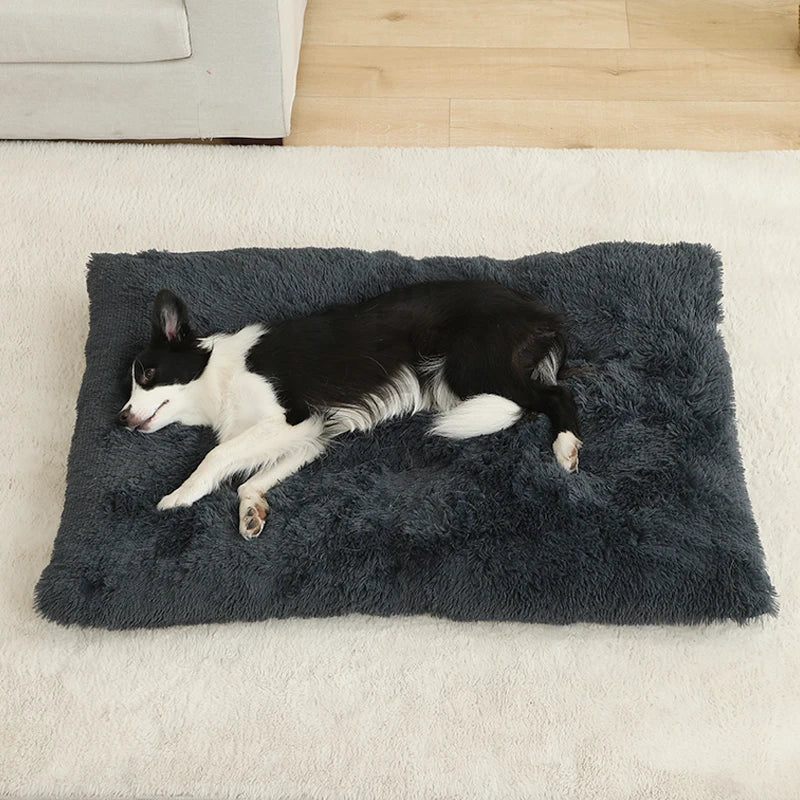 Square Plush Bed 4