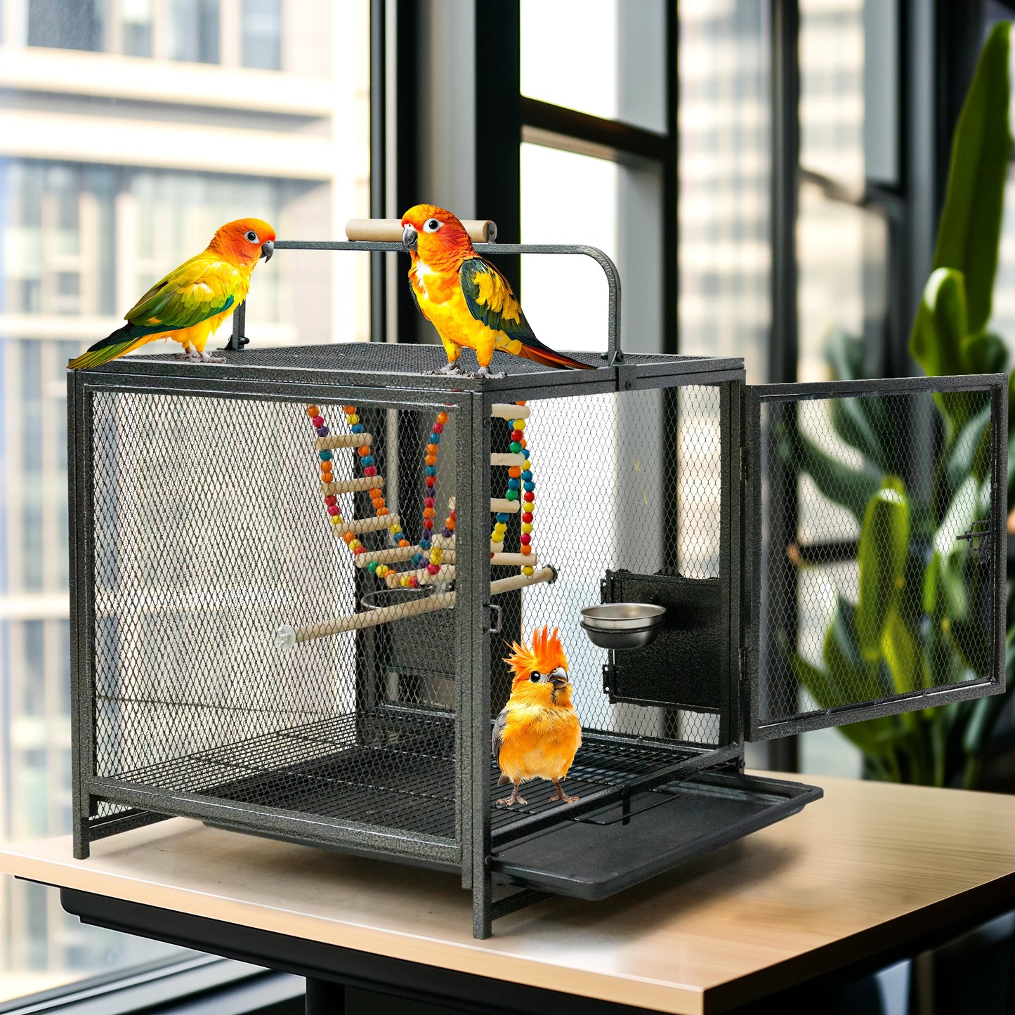Metal Bird Cage