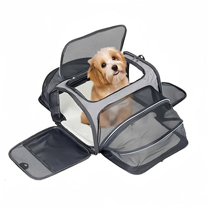 Dog Carrier 10