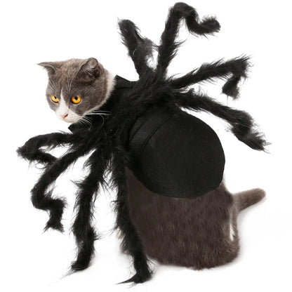 Spider Costume