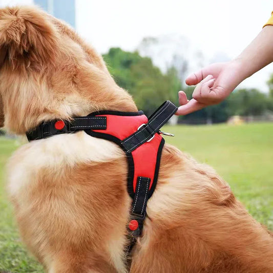 No-Pull Chest Strap Harness