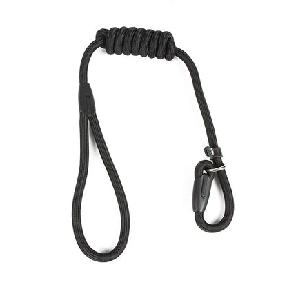 Nylon Rope Leash