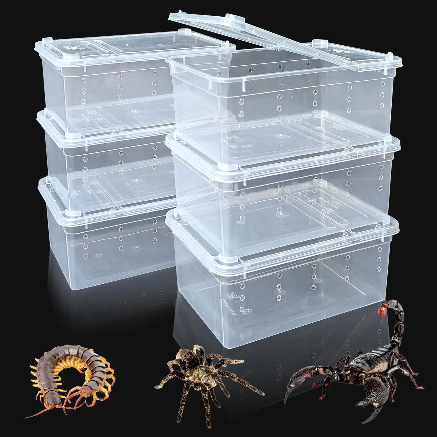 Reptile Transport Container